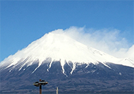 sizuoka tour